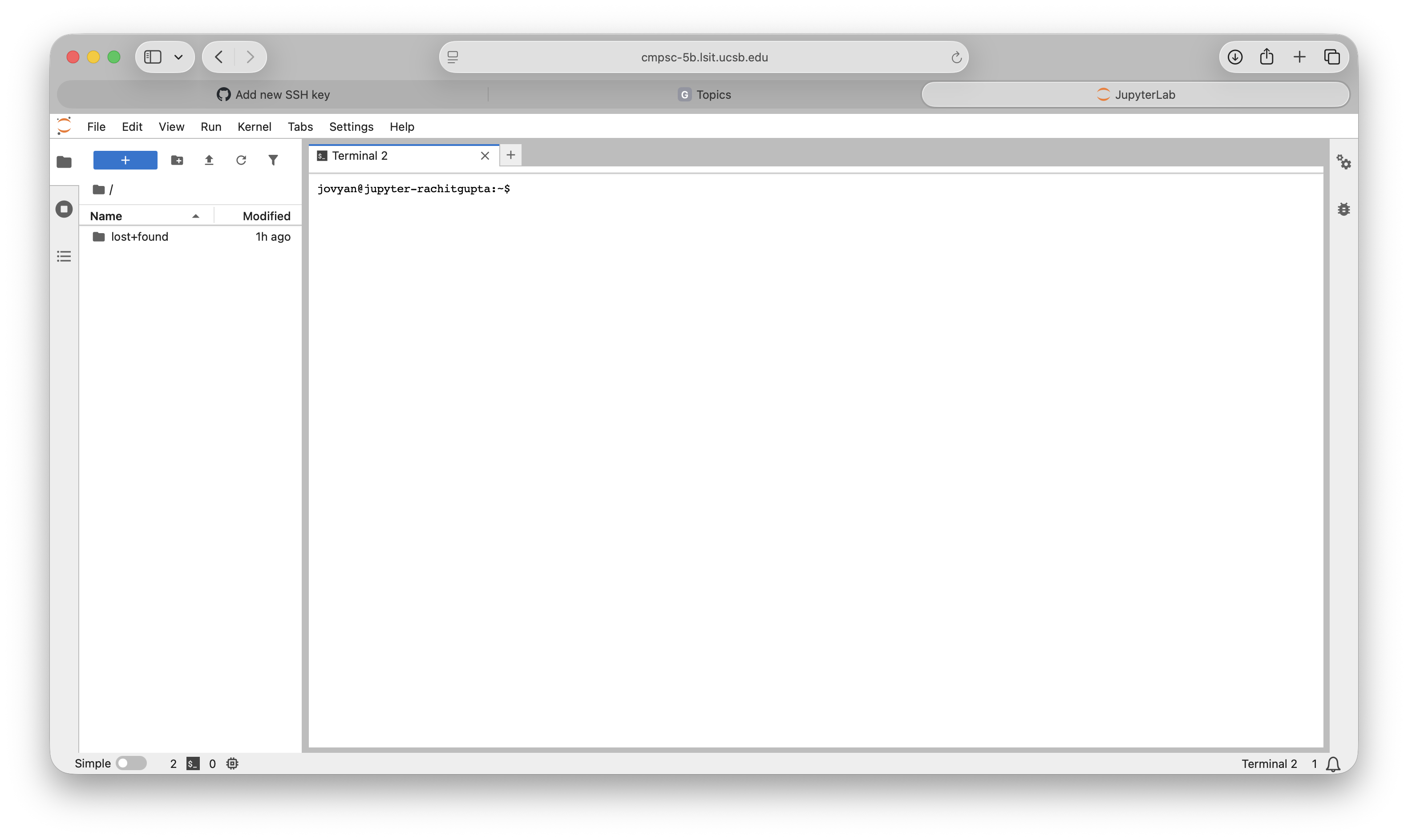JupyterHub terminal example